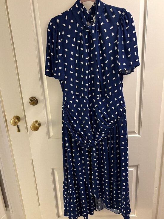 Self-Portrait Dresses & Skirts - SELF-PORTRAIT Blue and White Printed Maxi Dress (Size 10)